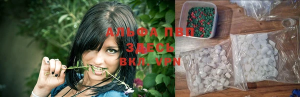 apvp Арсеньев