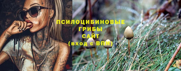 соль ск Аркадак