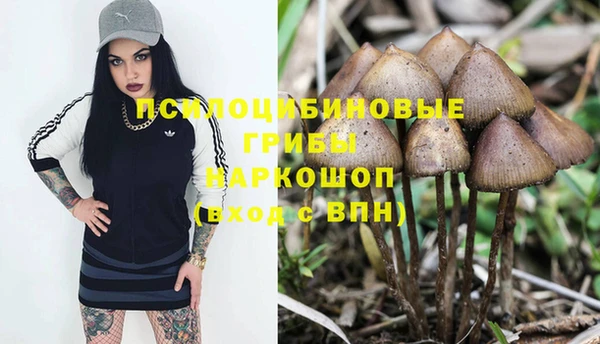 соль ск Аркадак