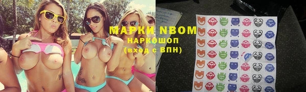 apvp Арсеньев